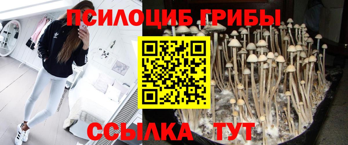 Учалы  Галлюциногенные грибы Psilocybe  купить наркотики сайты  Вход с VPN 