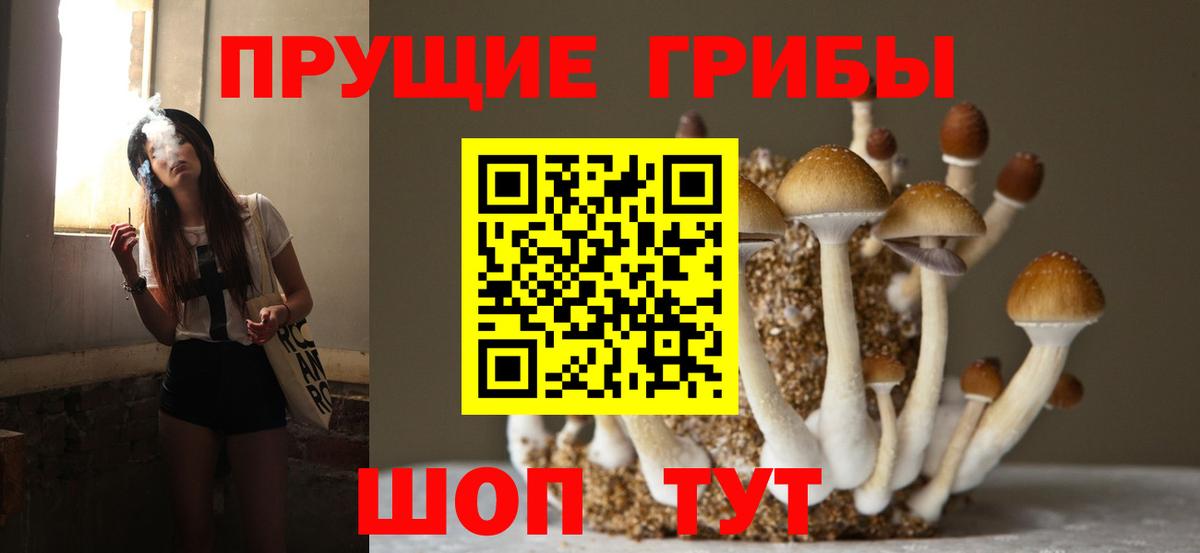 Галлюциногенные грибы Cubensis Учалы